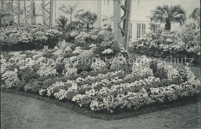 Gand Belgien Exposition de 1913 Floralies Gantoises