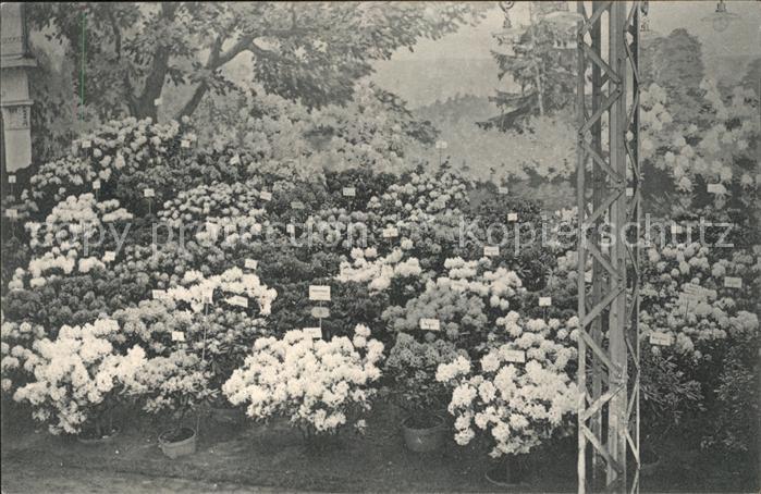 Gand Belgien Exposition de 1913 Floralies Gantoises
