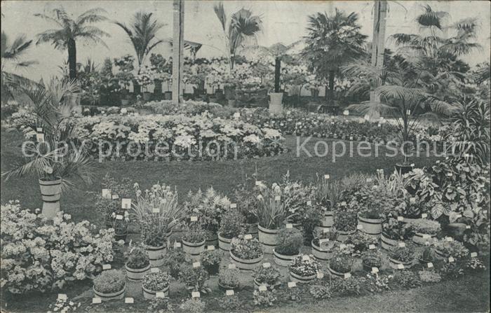 Gand Belgien Exposition de 1913 Floralies Gantoises