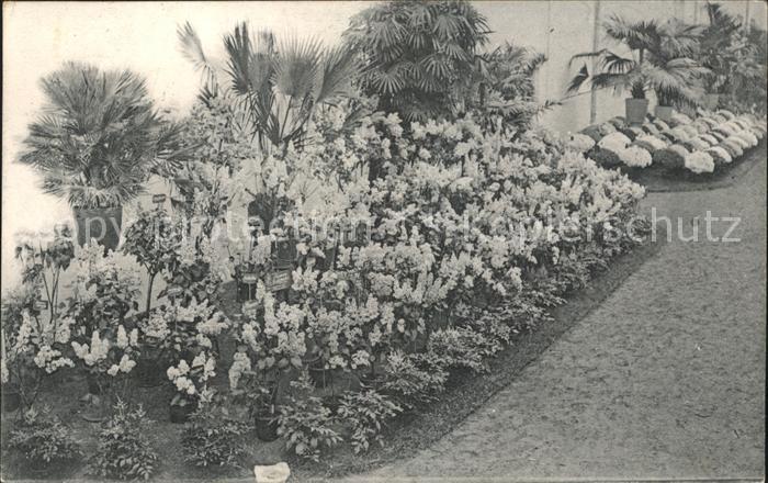 Gand Belgien Exposition de 1913 Floralies Gantoises