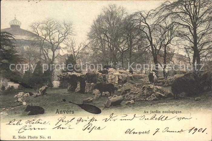 Anvers Antwerpen Jardin zoologique