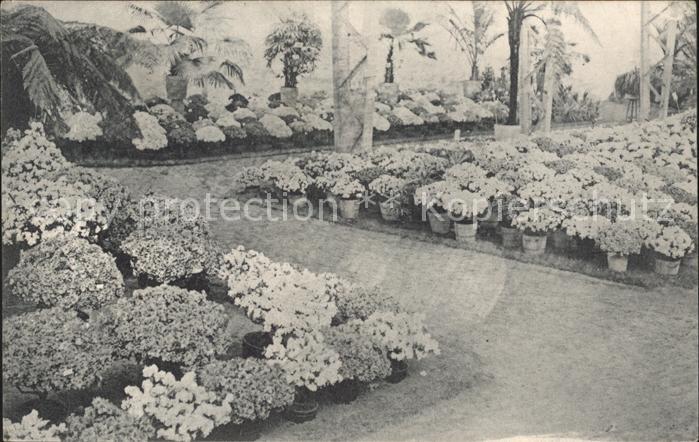 Gand Belgien Exposition de 1913 Floralies Gantoises