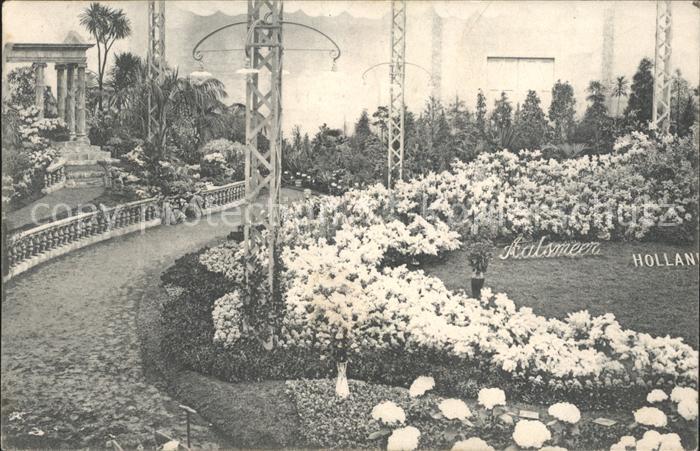 Gand Belgien Exposition de 1913 Floralies Gantoises