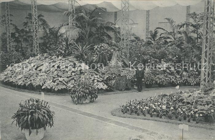 Gand Belgien Exposition de 1913 Floralies Gantoises Fleurs