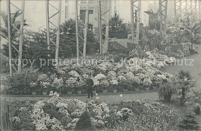 Gand Belgien Exposition de 1913 Floralies Gantoises