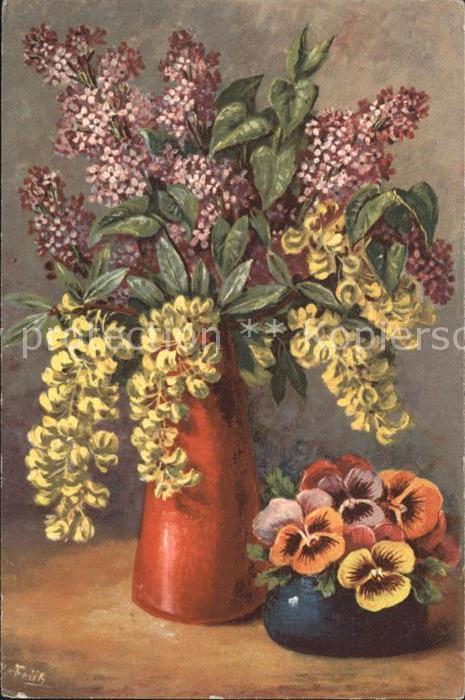 Frueh W. Flieder Stiefmuetterchen