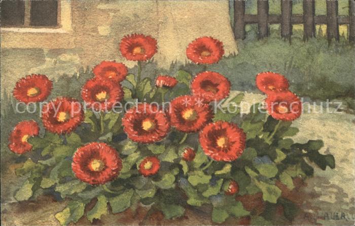 Haller Anna 352 Blumen