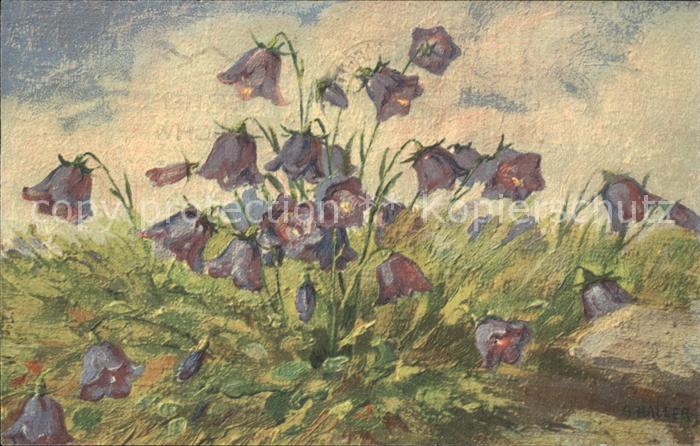 Haller Anna 334 Glockenblumen