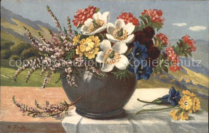 Frueh W. Heidekraut Primeln Anemonen Enzian