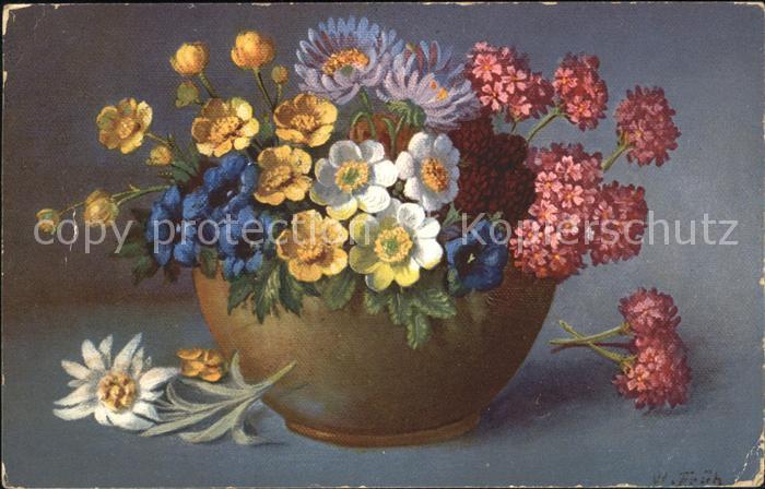 Frueh W. Enzian Anemonen Astern Edelweiß