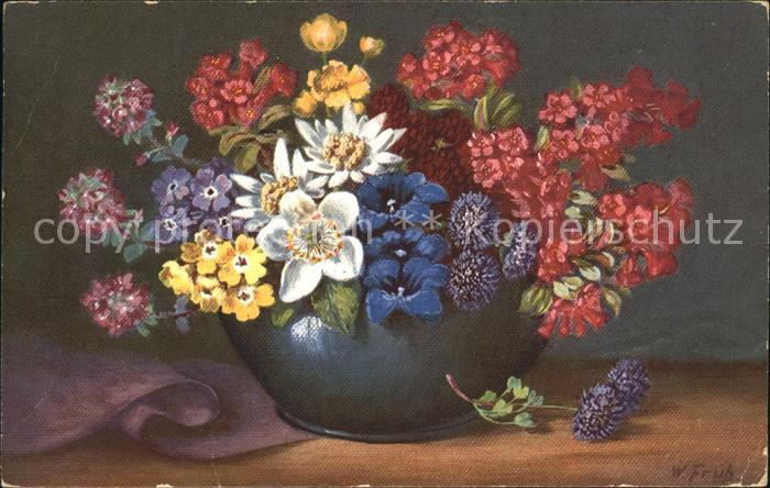 Frueh W. Primeln Alpenrosen Enzian Edelweiß