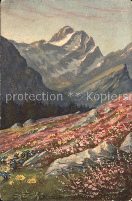 Frueh W. Enzian Heidekraut Berge