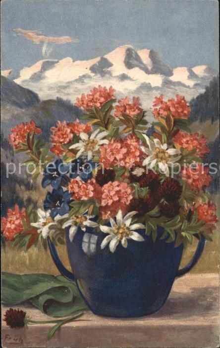 Frueh W. Edelweiß Enzian Alpenrosen
