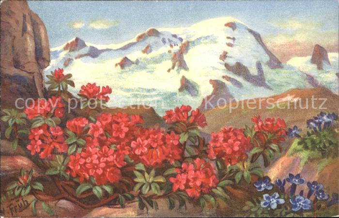 Frueh W. 582 Alpenrosen Enzian Berge