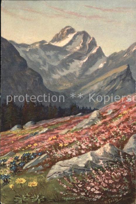 Frueh W. Enzian Heidekraut Berge