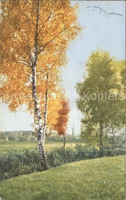 Baeume Trees