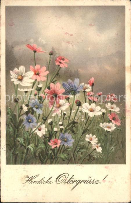 Ostern Easter Paques Blumen Margeriten