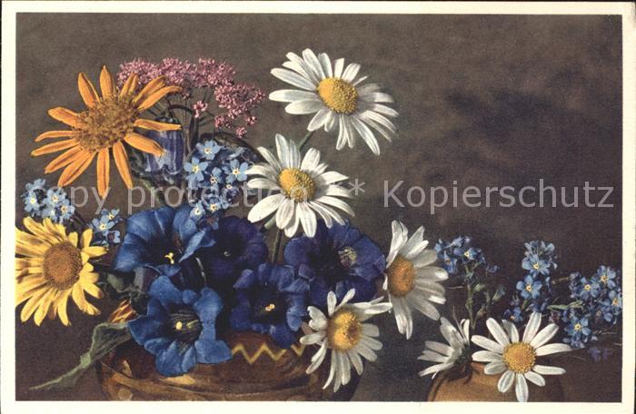 Blumen Margeriten Enzian Vergissmeinnicht