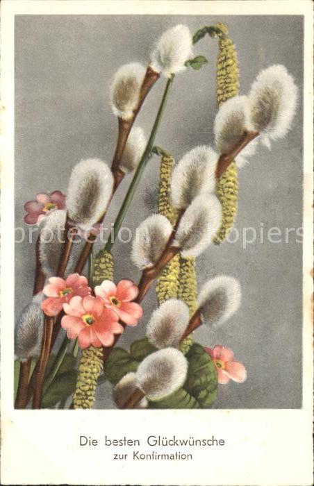 Konfirmation Glueckwunsch Weidenkaetzchen Blumen