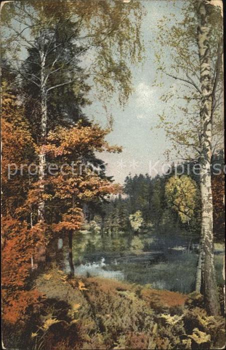 Verlag Photochromie Nr. 2230 Baeume See