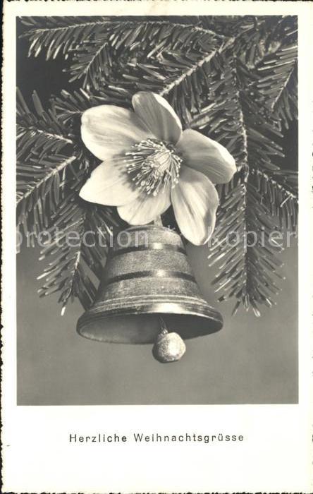 Kirchenglocke Churchbell Cloche Eglise Christrose Weihnachten