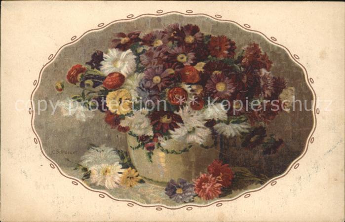 Kuenstlerkarte C. Schroeder Blumen Margeriten Astern