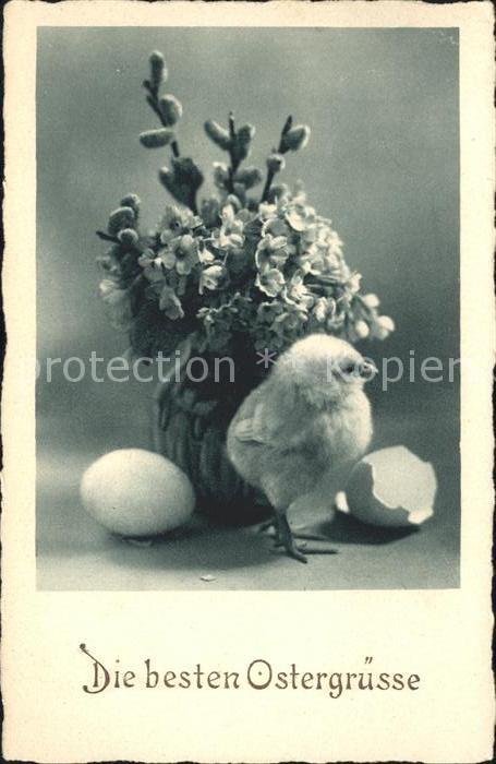 Ostern Easter Paques Küken Ei Weidenkätzchen Blumen