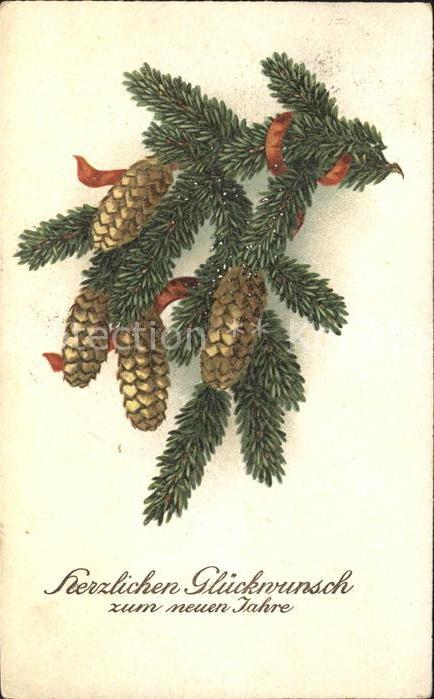Tannenzapfen Glückwunsch Neujahr