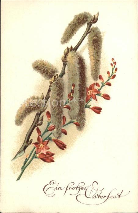 Ostern Easter Paques Weidenkätzchen Blumen