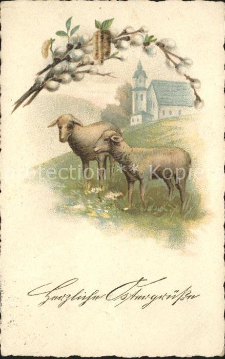 Schafe Ostern Weidenkätzchen