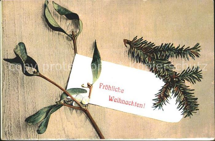 Weihnachten Mistel