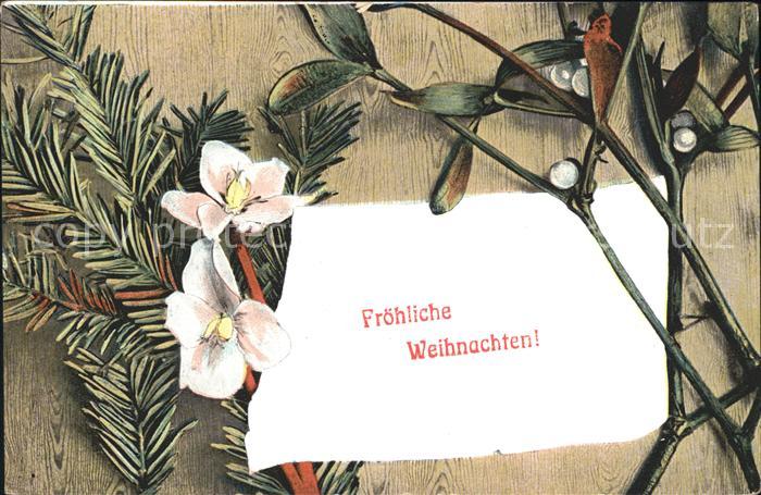 Weihnachten Mistel Christrose