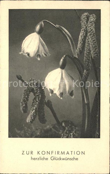 Blumen Märzenbecher Konfirmation Glückwunsch