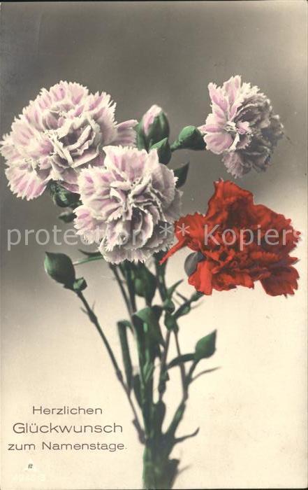 Blumen Nelken Glückwunsch Namenstag