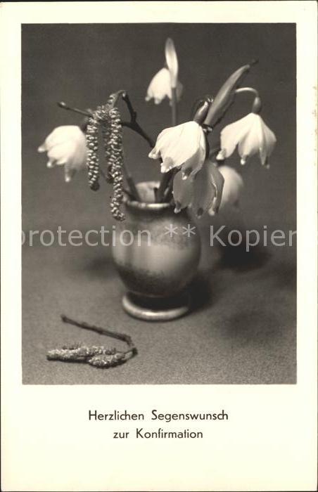 Blumen Märzenbecher Konfirmation Glückwunsch