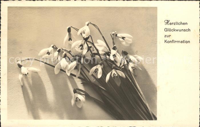 Blumen Schneeglöckchen Konfirmation Glückwunsc