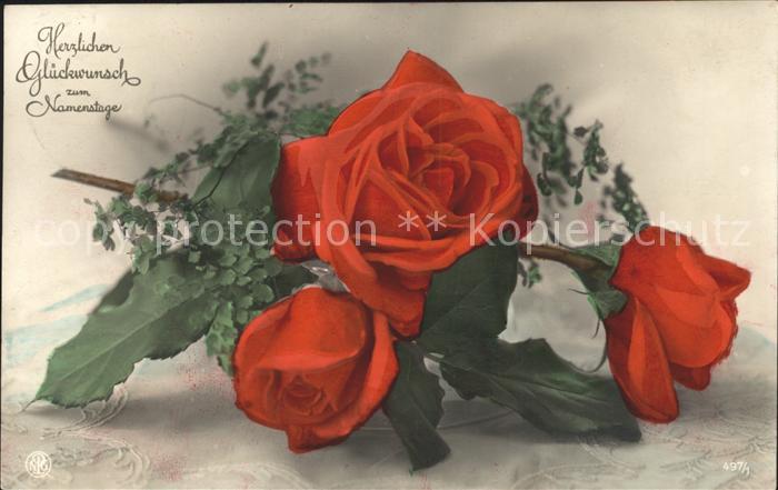 Rosen Glückwunsch Namenstag