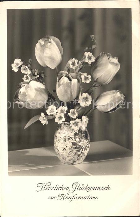 Blumen Tulpen Primeln Glückwunsch Konfirmation