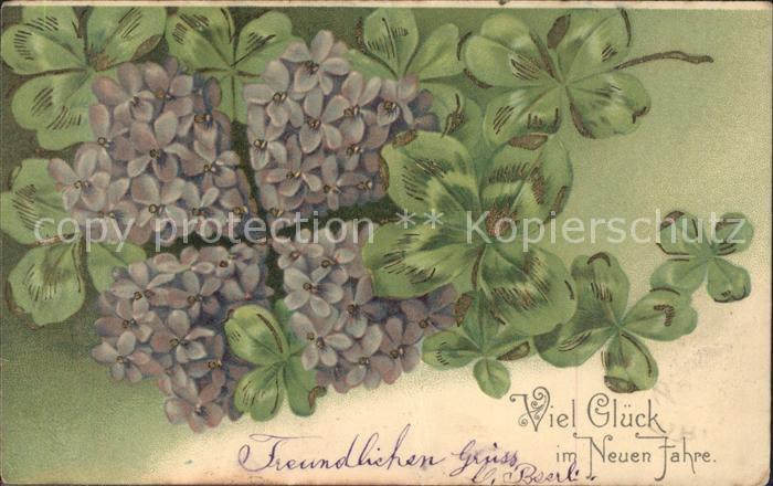 Kleeblatt Cloverleaf Trebol Trefle Flieder Neujahr