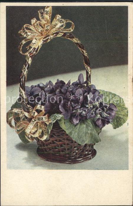 Blumen Veilchen Korb