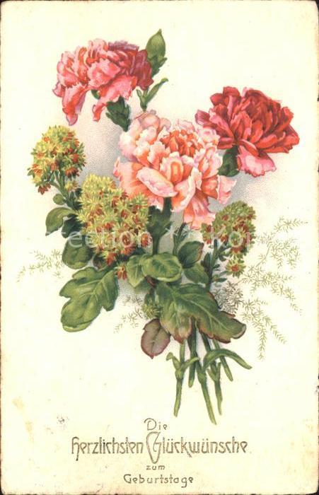 Geburtstag Glückwunsch Nelken