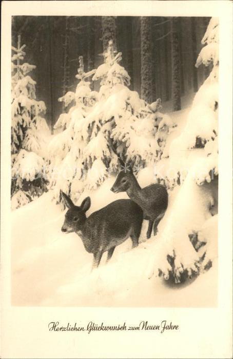 Reh Glückwunsch Neujahr