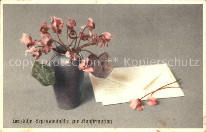Blumen Alpenveilchen Konfirmation Glückwunsch