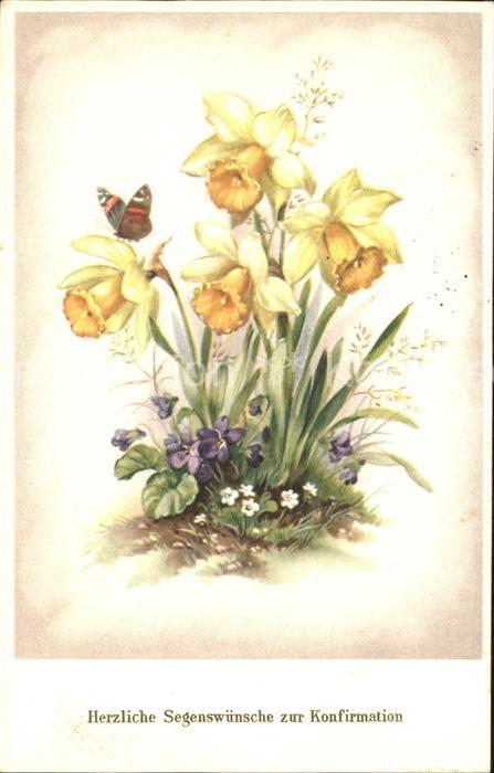 Blumen Narzissen Veilchen Schmetterling Glückw