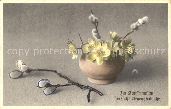 Konfirmation Weidenkaetzchen Christrose