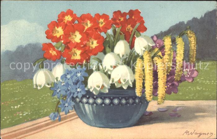 Kuenstlerkarte A. Wagner Märzenbecher Haseluss Primeln