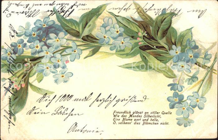 Blumen Vergissmeinnicht Gedicht