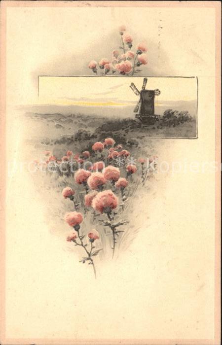 Blumen Nelken Windmühle Litho
