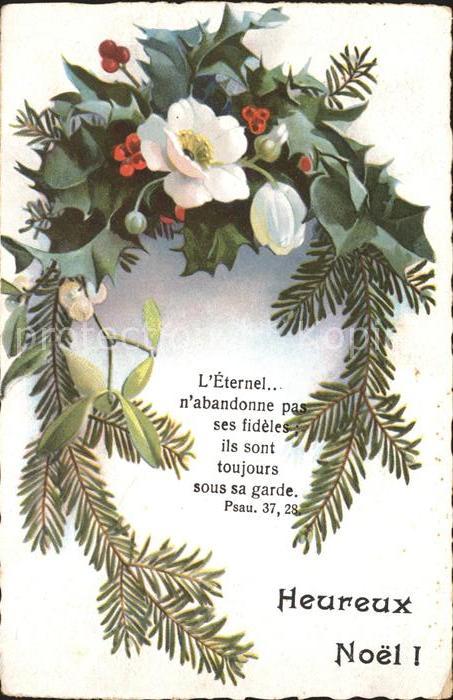 Weihnachten Christrose Stechpalme Mistel Psalm