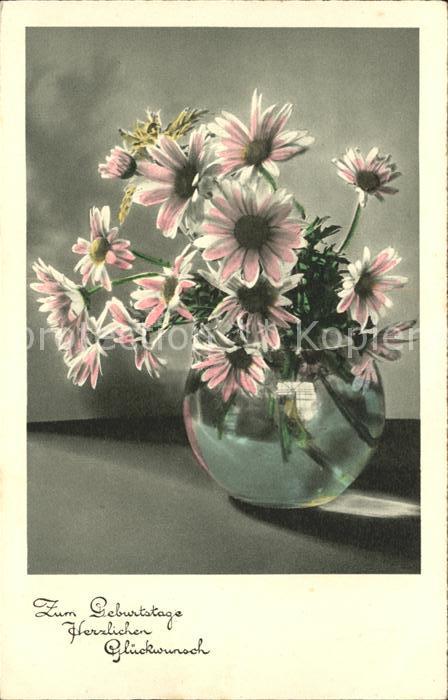 Blumen Margeriten Geburtstag